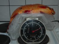 Krasnop1.jpg Krasnop1.jpg