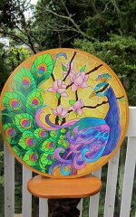 peacockroundmypainting1.jpg
