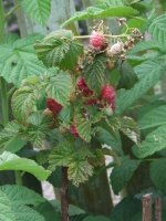 DSCF7841.JPG