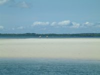 DSCF0024.JPG