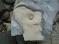 Stone Eye.jpg