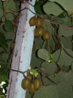 DSCF8476.JPG