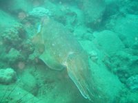 IMG_0778.JPG