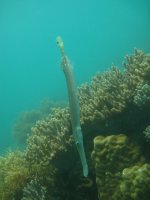 IMG_0788.JPG