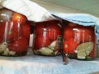 2012-03-27 18.30.38.jpg