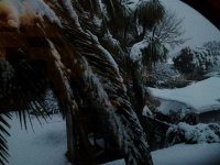 20120606_171249.jpg