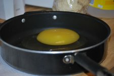 7205_emu_egg_in_skillet2.jpg