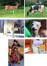 sur.png