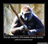 1285225956_kogda-pervaya-obezyana-vzyala-palku.jpg