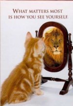 cat-lion.jpg