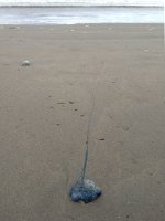 IMG_0097.JPG