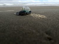 IMG_0092.JPG
