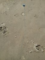 IMG_0076.JPG