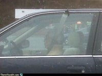 Seatbelt broken.jpg