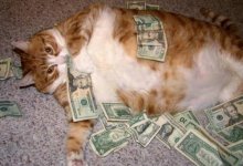 rich kitty.jpg