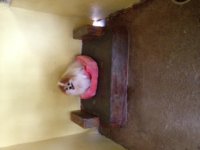 photo 5.JPG