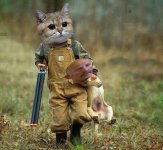 cats view.jpg cats view.jpg