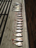 IMG_0912.JPG