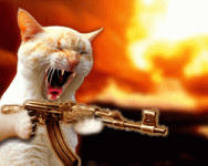 ak74-gif-15.gif