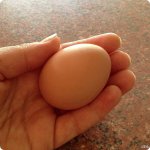 photo(1).jpg