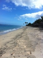 SAMOA 018.jpg