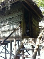 SAMOA 088.jpg