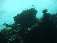 P1100160res.JPG
