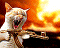 avatar15655_3.gif