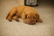 DSC_6909.jpg