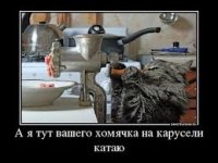 cat grinder.jpg
