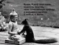 Budda And Squirrel.jpg
