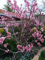 IMG_20130830_151231.jpg