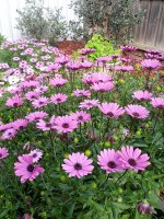IMG_20130830_151331.jpg