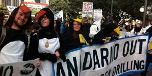 penguins_460x230.jpeg