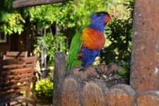 DSC_0549.JPG