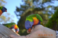 DSC_0562.JPG DSC_0562.JPG