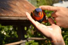 DSC_0578.JPG
