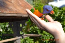 DSC_0579.JPG DSC_0579.JPG