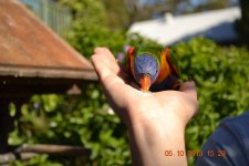 DSC_0580.JPG