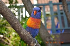 DSC_0583.JPG DSC_0583.JPG
