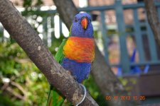 DSC_0584.JPG