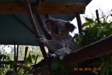 DSC_0431.JPG