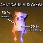 CvCFdMy1SZU.jpg
