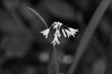 DSC_0163.jpg