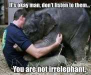 irrelephant.jpg