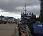 IMG_0345.JPG