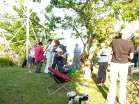 picnic1.jpg