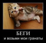 jbgv5zohq1n2_500.jpg