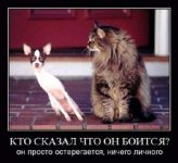 kak-otkljuchit-uslugu-mts-anekdoty-i-demotivatory_2_2.jpg