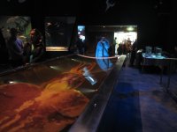 colossal-squid-te-papa-2.jpg